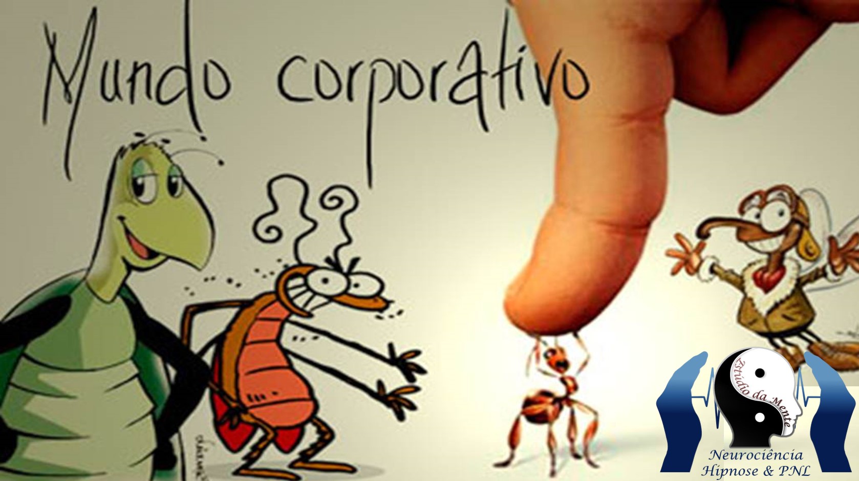 Insetos