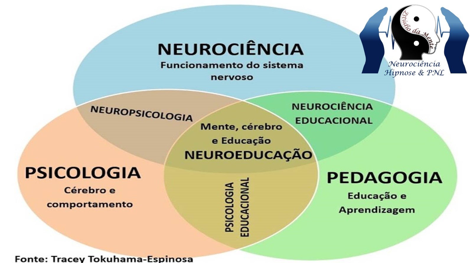 Junção da Neurociência, Pedagogia e Psicologia