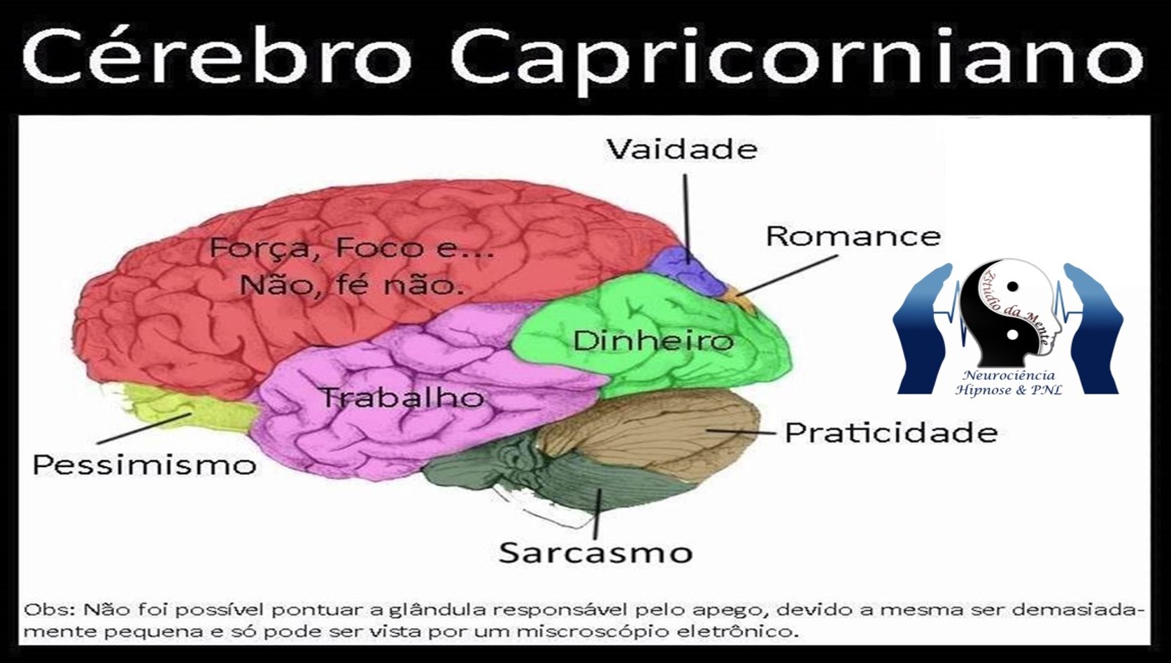 Astrologia dos cérebros