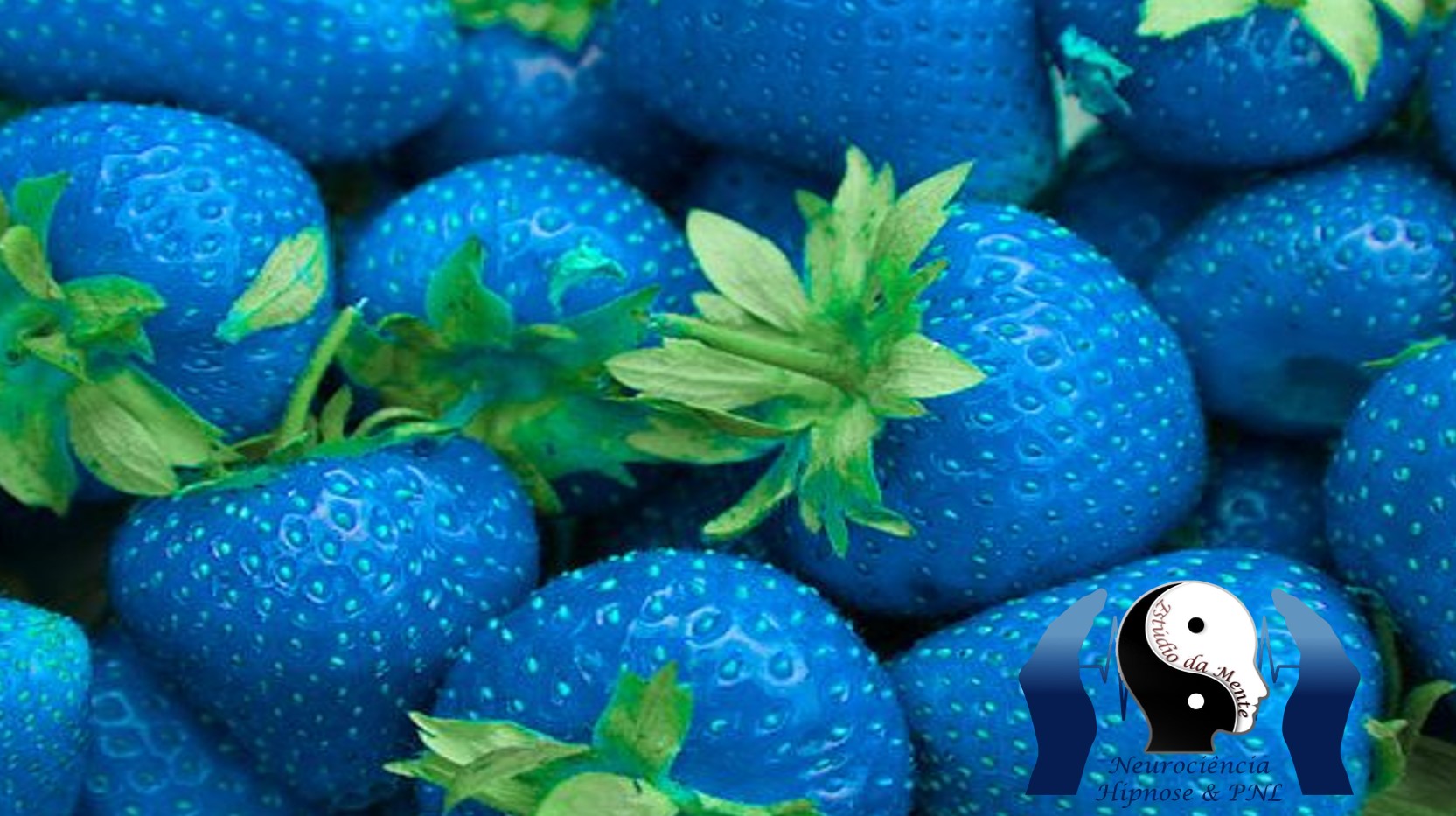 Alimentos azuis